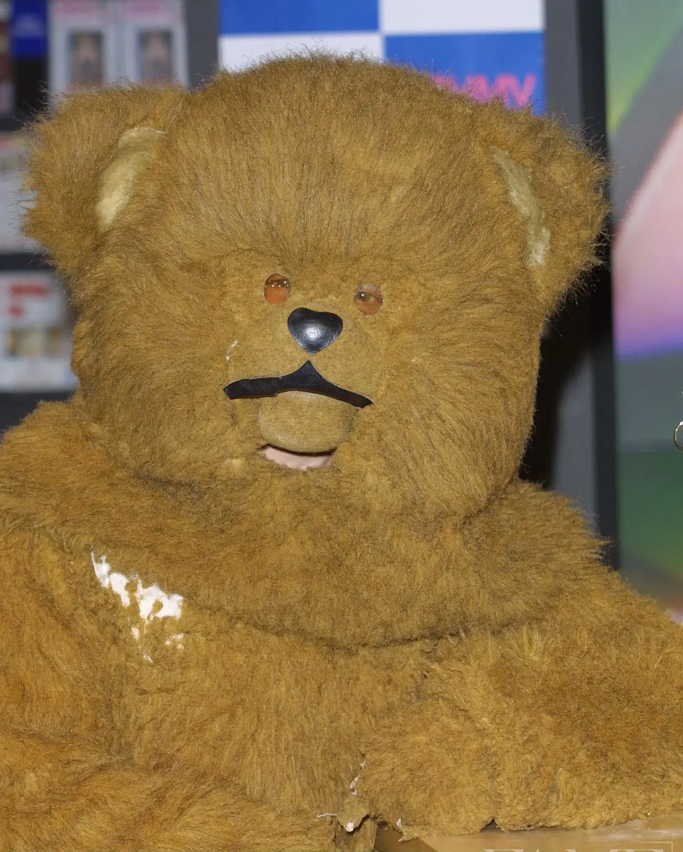 Rainbow character Bungle, a brown bear, at the HMV appearance